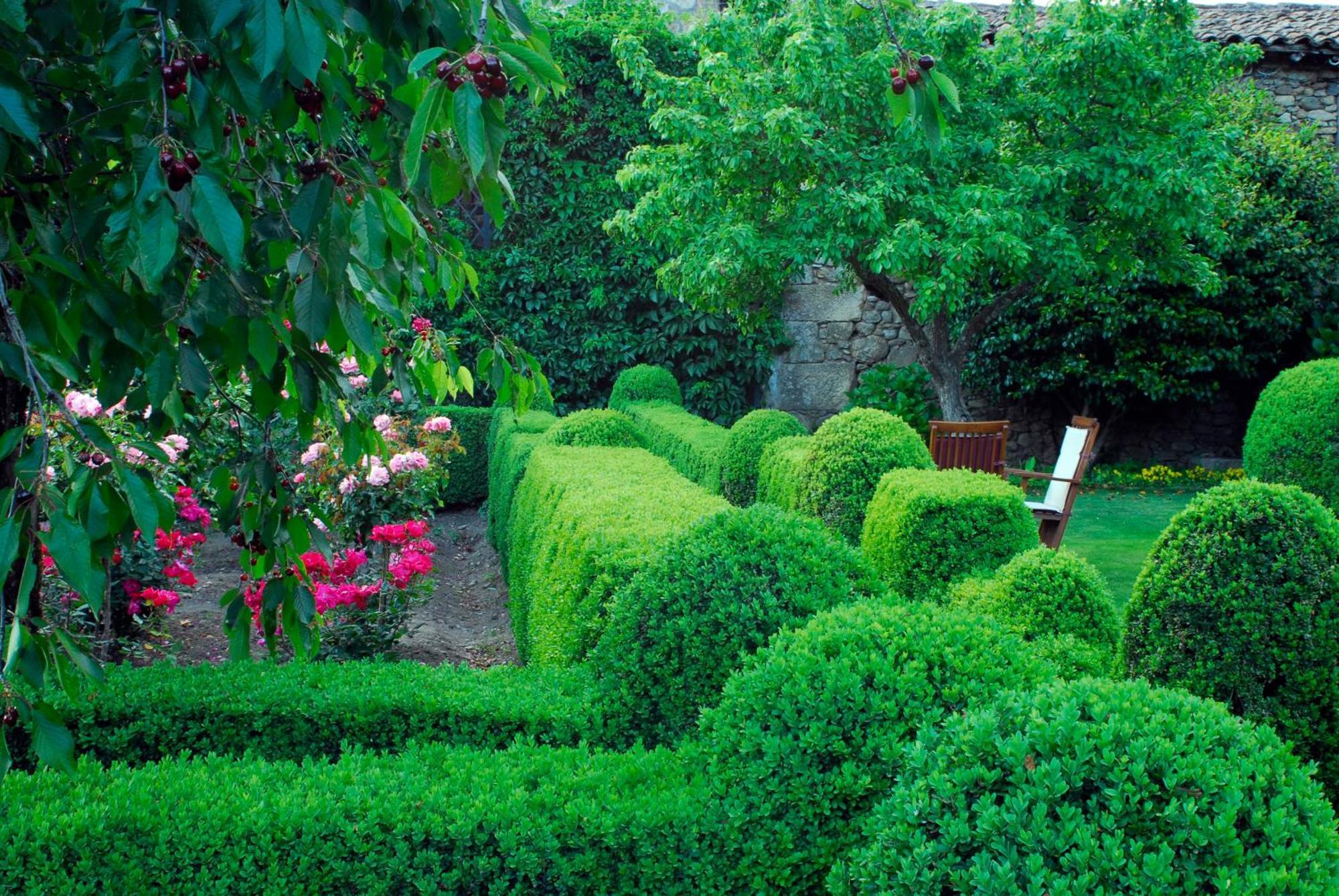 El Jardin Del Convento, Casa Rural Hervás Eksteriør billede