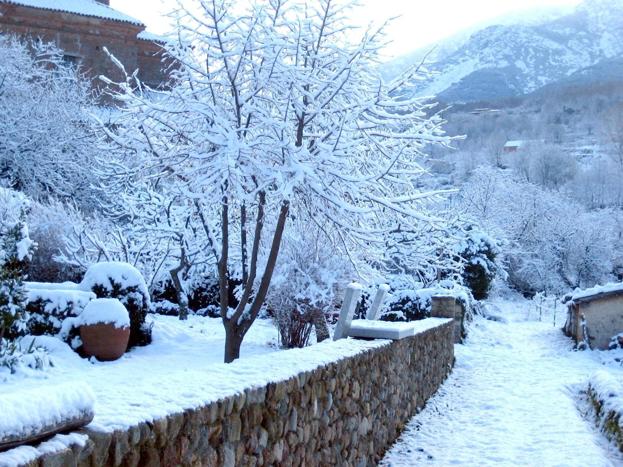 El Jardin Del Convento, Casa Rural Hervás Eksteriør billede